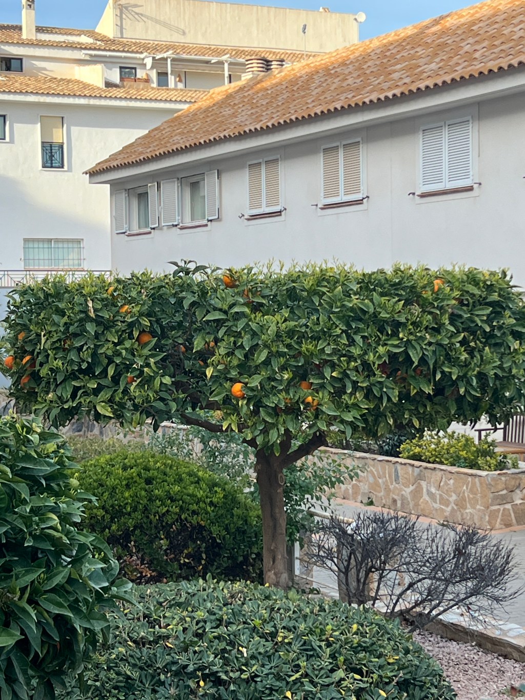 A Tale of Two&nbsp;Illnesses