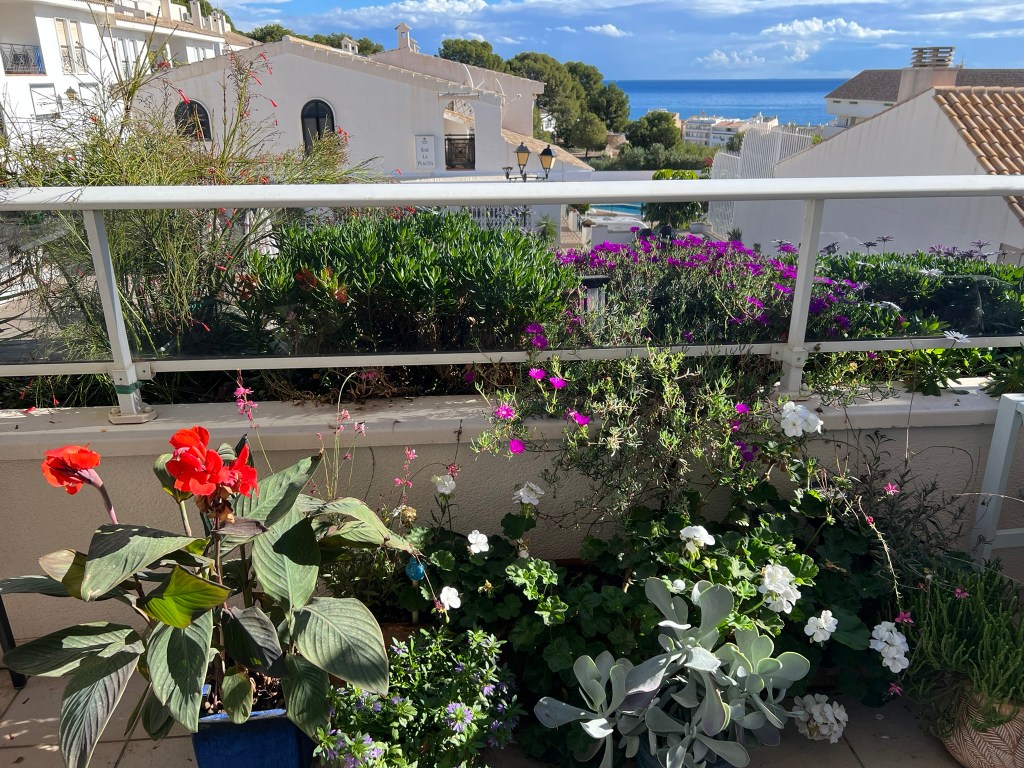 What a Beautiful&nbsp;Season