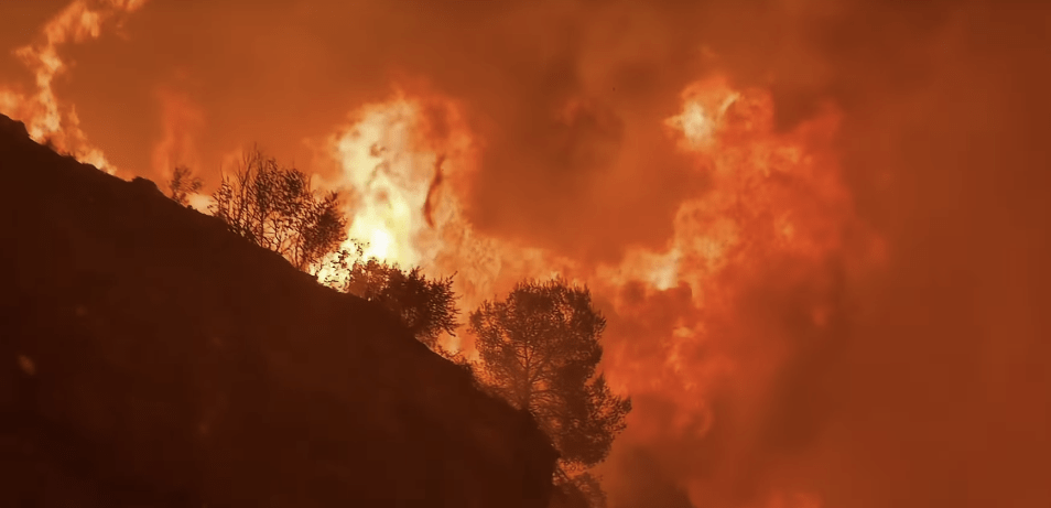 Spain’s Wildfires